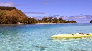 Water Team Live Stream