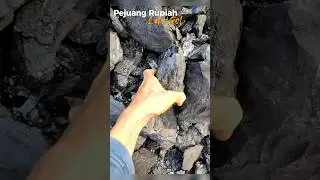 Beginilah bentuk batubara 