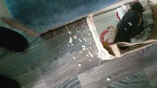 дежавю