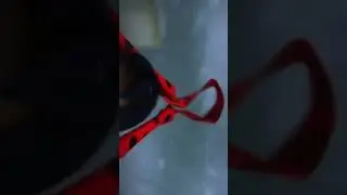 Miraculous:Tales of ladybug and Catnoir