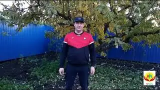 Отзыв пациента о сеансе коррекции здоровья.