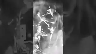 Quinn Christopherson- Erase Me. P.TM - Evil Friends. Full video on YouTube. #portugaltheman #concert