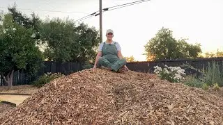 How I VASTLY Improved My Soil in Less Than a YEAR! Spreading Mulch in the Orchard Garden!
