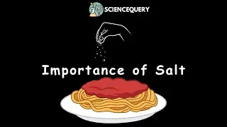 Importance of Salt