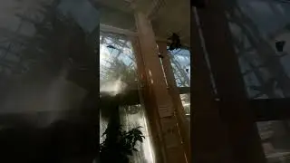 Самка парусник Лови летает на выставке бабочек в Бресте 🦋❤️.