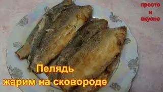 Peled - frying in a frying pan