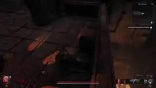 Remnant 2 rerole