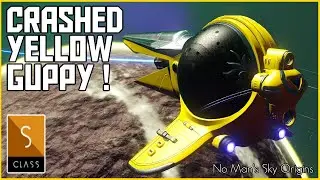 No Man's Sky Origins - Crashed Yellow Guppy Exotic - Finding Exotic Ships in No Sky Origins 2020