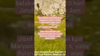 metode cara menemukan tgl lahir Nabi Isa AS, #quran #kajian #shorts #short