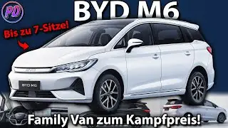 BYD M6 - Elektro Family Van zum Kampfpreis! Aber nicht in Deutschland...