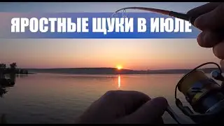 Такие злые щуки!!!! Розыгрыш  спиннинга на 500 подписчиков!!!