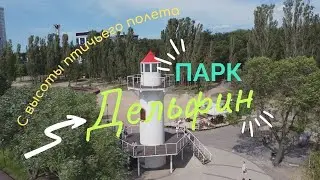 Smart - парк "Дельфин"