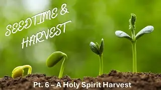 Seedtime & Harvest: Part 6 // A Holy Spirit Harvest