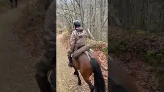 Всем привет и поздравления в Новым годом! Скоро появлюсь с новыми видео