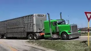 Old style cattle trucks