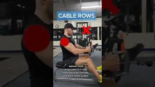 Back workout:seated cable rows 