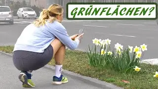 Grünflächen in der Stadt? | Thematischer Lauf -Spaziergang | Bewegung spannend gestalten