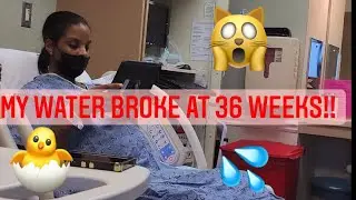 MY WATER BROKE AT 36 WEEKS!  Vlog