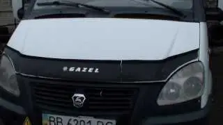 Мухобойка на Газель. Неприятности.