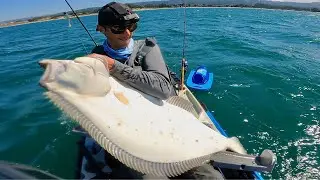 EPIC Catch & Release: 40+ inch MONSTER California Halibut