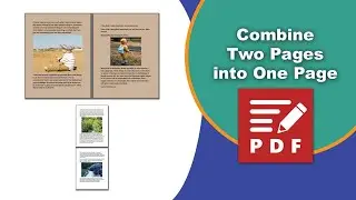 How to combine 2 pdf pages into 1 page in PDF-XChange Editor