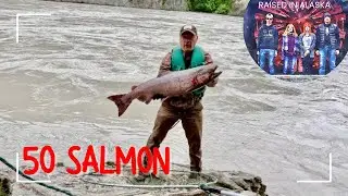 50 Salmon in one Weekend