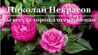 Николай Некрасов - Ты всегда хороша несравненно