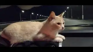 И так прокатились...
