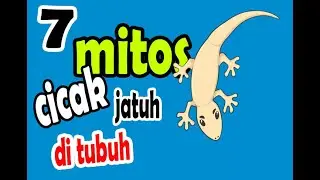 BERIKUT 7 MITOS ARTI TUBUH KEJATUHAN CICAK