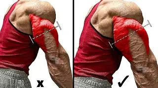 Effective Triceps Workout at Gym To Get Wider Triceps Perfect