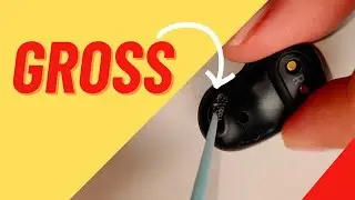 Samsung Buds Cleaning After 3 Years | Wait What... #samsung #buds