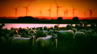Sunset Grooves / Nu-Disco & Deep House Selection