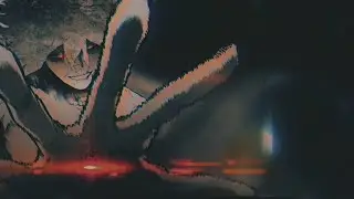 HK1000 vision