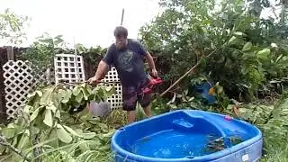 Hurricane clean up
