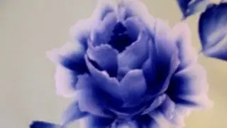 Come dipingere la rosa. how to paint a rose , Wie zu malen eine Rose. One stroke