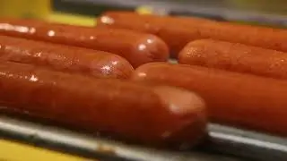 Minneapolis dogs
