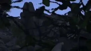 Breaking Point #2