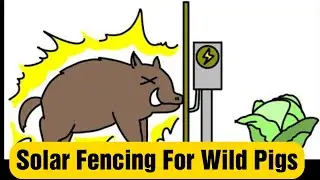 Solar Fencing
