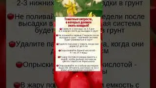 Томатные хитрости для дачников!  🍅 