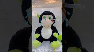 Cute Monkey Crying 🥲❤️|