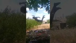 Рыба на плоскости 🔥😯 #shorts