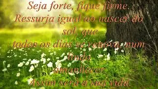 Frases de motivação. 