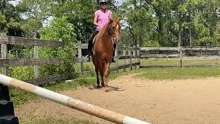 How the horse's balance effects the rider