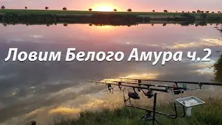 Рыбалка в Одесской области, ловим Амура с. Каменское 2022