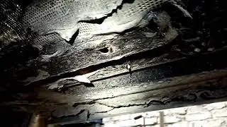 Жесть. Нет пола.