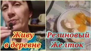 ЖИЗНЬ ЖЕНЩИНЫ В ДЕРЕВНЕ. ПРИЕХАЛ СЫН. ПЕРЕВОЖУ КУР. Резиновый желток.