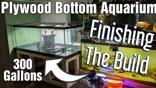 Plywood Bottom Aquarium - Finishing the 300 gallon!