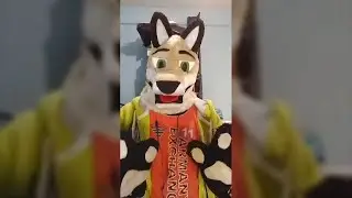 5 FURSUIT MAKERS de México #Shorts