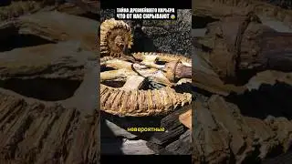 Невероятные находки на дне древнего карьера