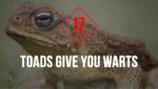 25 Lies That You Still Believe
